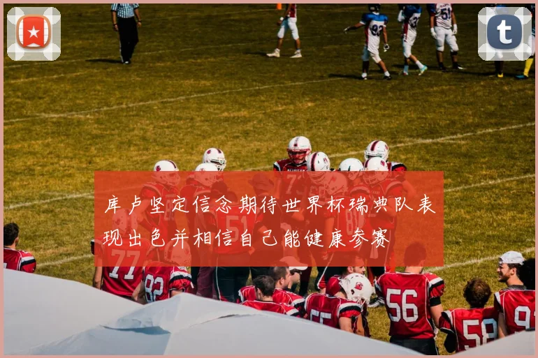 库卢坚定信念期待世界杯瑞典队表现出色并相信自己能健康参赛