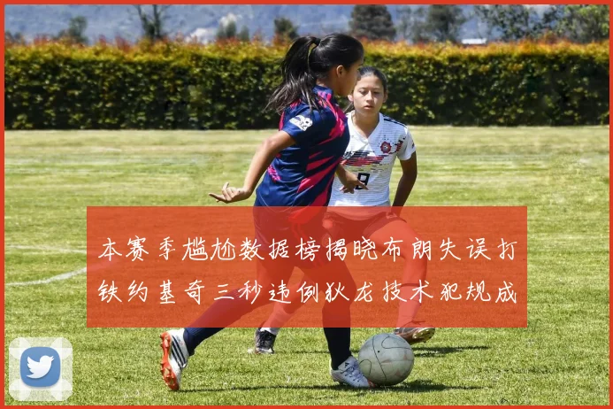 本赛季尴尬数据榜揭晓布朗失误打铁约基奇三秒违例狄龙技术犯规成王